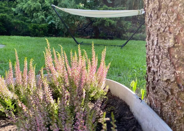 5 Stars Apartamento Jablonka Stara